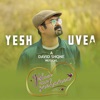 Yeshuve Nira Snehamea (David Shone Remix) - Single