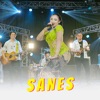 Sanes - Single, 2023