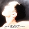 Skyboy - Single