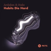 Habits Die Hard (Damon Jee Remix) artwork