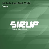 Vula (feat. Toshi) artwork