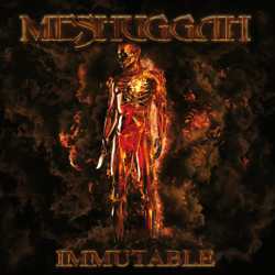 Immutable - Meshuggah Cover Art