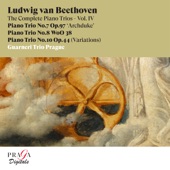 Ludwig van Beethoven: The Complete Piano Trios, Vol. IV artwork