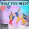 What You Need? - Count Alonzo lyrics