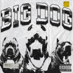 Big Dog by Ale the Man