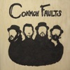 Common Faults, 2010