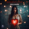 Bleeding Love - Single