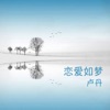 卢丹 - 如果你爱我