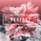 Perfect (Phille G Remix) artwork
