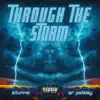 Through the Storm (feat. AR Paisley) - Single album lyrics, reviews, download