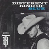Different Kind of Blue - Single