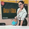VVCHEA - Baila y Goza