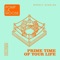 Prime Time of Your Life artwork