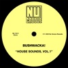 House Sounds, Vol. 1 - EP