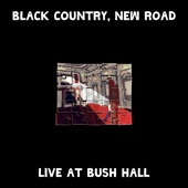 Black Country, New Road - Up Song - Live at Bush Hall