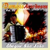 CHEGOU SÃO JOÃO - 2007