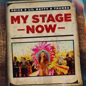 My Stage Now artwork