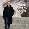 Dream Burning Down - Single