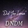 Did You Leave - Single