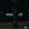 Birds Cry - Lord Vizion lyrics