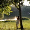 Orchidea - Single