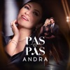 Pas cu pas - Single