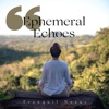 Ephemeral Echoes