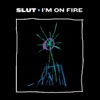 I'm on Fire - Single