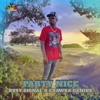 Party Nice - Single