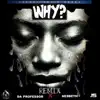 Stream & download Why (Remix) - Single