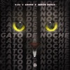 Gato de Noche - Single