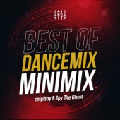 Best Of Dancemix Minimix artwork