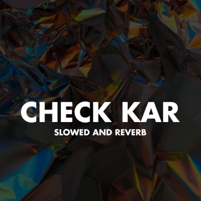 check kar slowed reverb mp3 song download