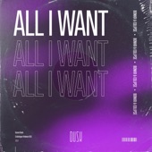 All I Want (Extended Mix) artwork