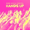 Hands Up - Single