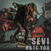 Hate You artwork