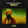 Phumelela - EP