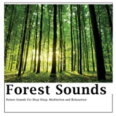 Nature Sound Emporium - Forest - Nature Sounds 1