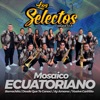 Mosaico Ecuatoriano: Borrachito / Desde Que Te Conocí / Ay Amores / Vuelve Cariñito - Single