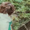 Away Zen - RRAREBEAR lyrics