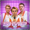 SIMP (feat. Bram Krikke) - Single