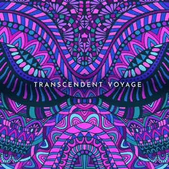 Transcendent Voyage by John 00 Fleming album reviews, ratings, credits