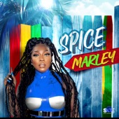 Spice Marley artwork