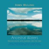 Ancestral Waters, 2003