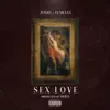 Sex Love - Single album lyrics, reviews, download