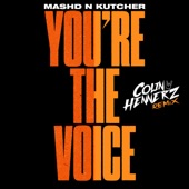 You're The Voice (Colin Hennerz Remix) artwork
