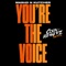 You're The Voice (Colin Hennerz Remix) artwork