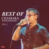 Best of Chamara Weerasinghe Vol. 2 - EP