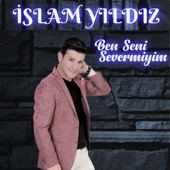 Ben Seni Severmiyim (feat. Sebihan Altunay) artwork