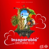 Inseparable (Instrumental) artwork